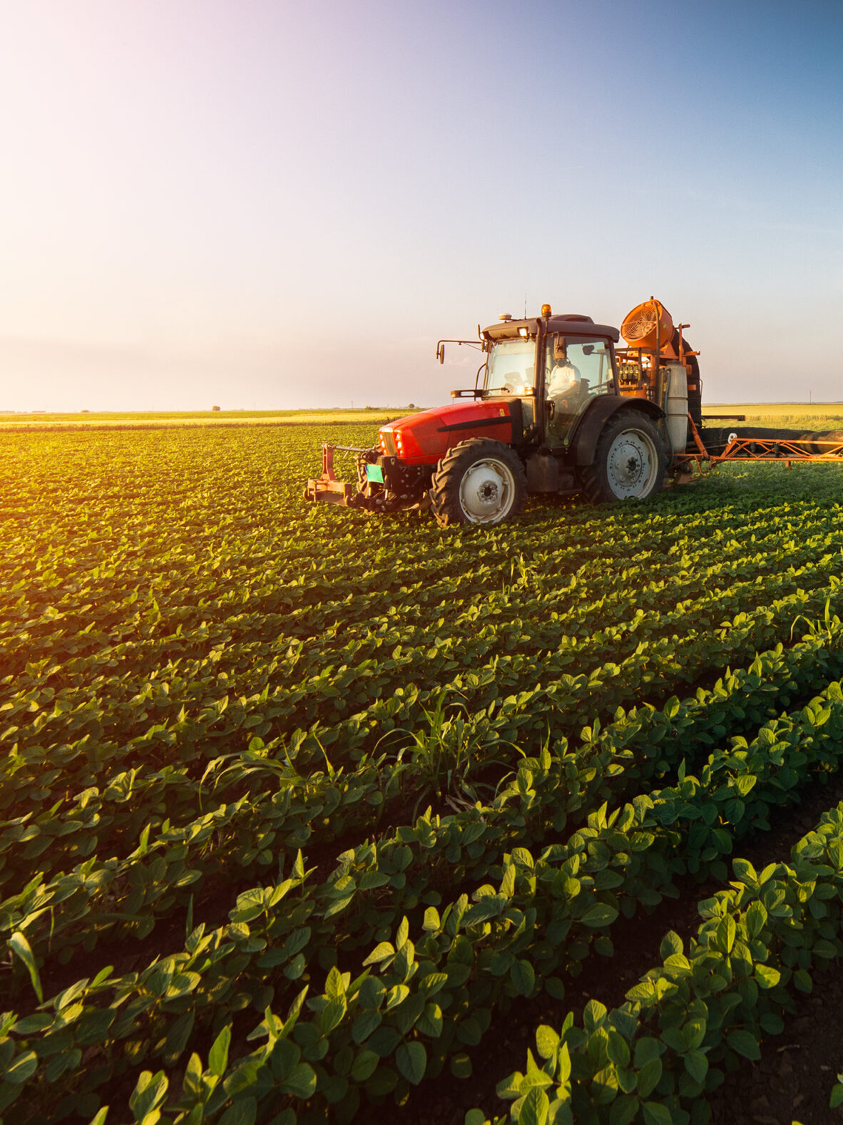 shutterstock 653708227